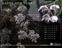 January  Calendar